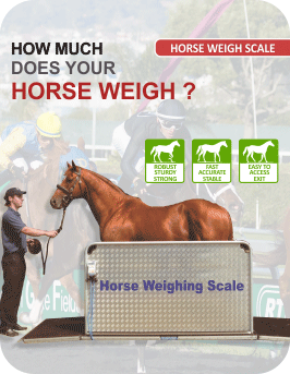 horse weighing scale