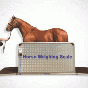 horse weighing scale