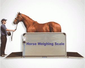 Horse weighing scale-image