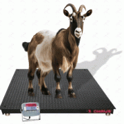 livestock-weighing-scale